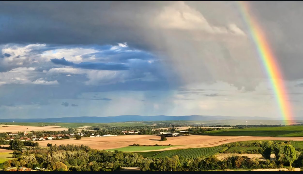 Blick über Rheinhessen