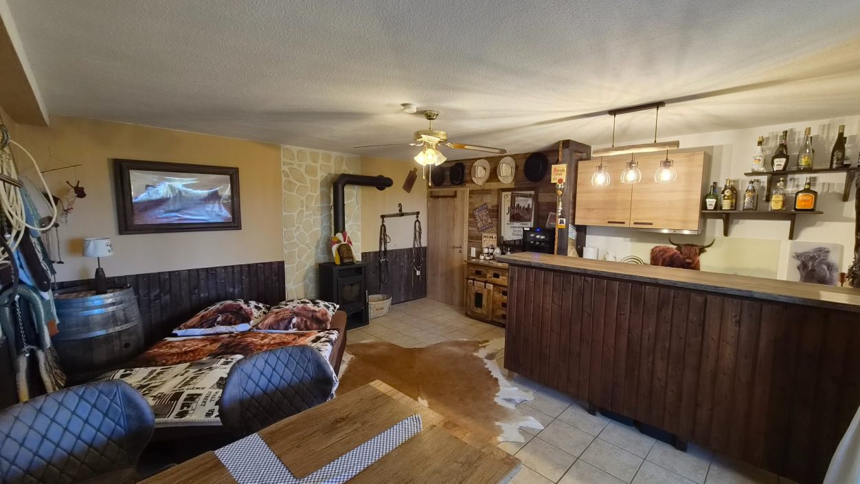 Wohnzimmer mit Schlafcouch